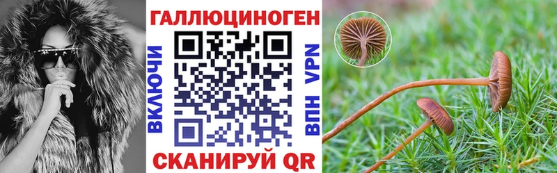 Галлюциногенные грибы GOLDEN TEACHER  кракен   Шумиха  купить наркоту 
